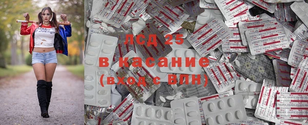 ГАЛЛЮЦИНОГЕННЫЕ ГРИБЫ Алексин