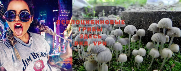 PSILOCYBIN Алзамай