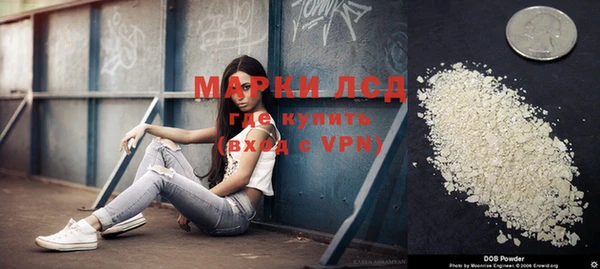 PSILOCYBIN Алзамай