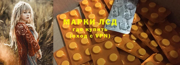 PSILOCYBIN Алзамай